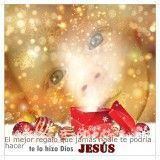 xmas_11