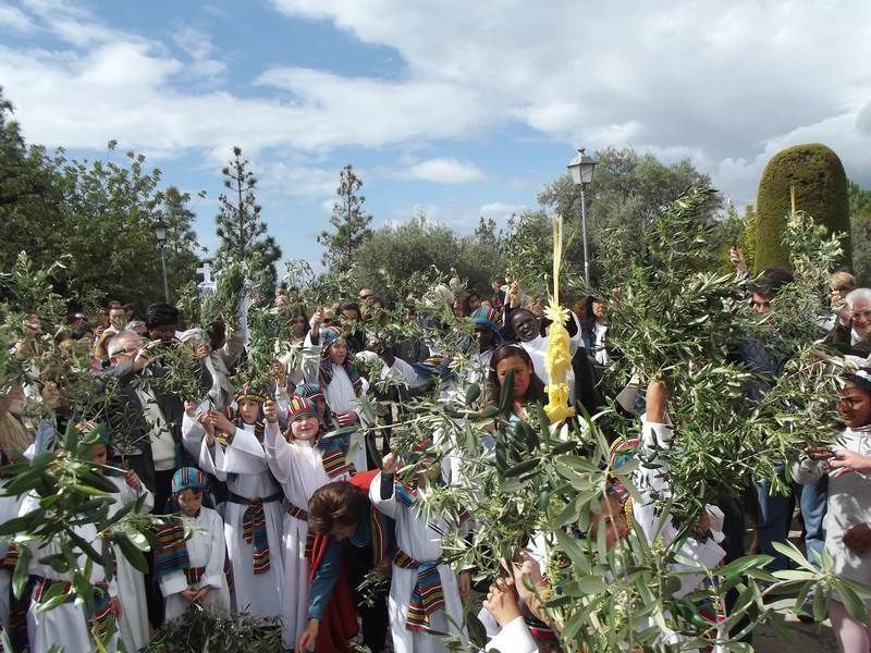 ramas en alto (Copiar)
