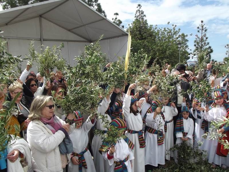 ramas en alto carpa (Copiar)