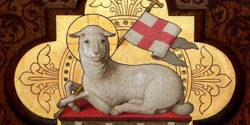 agnusdei
